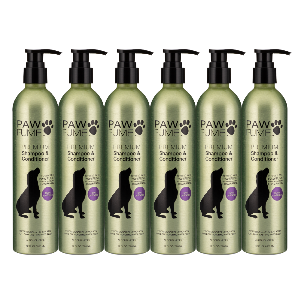 2-in-1 Shampoo & Conditioner: 6-Pack of 12oz